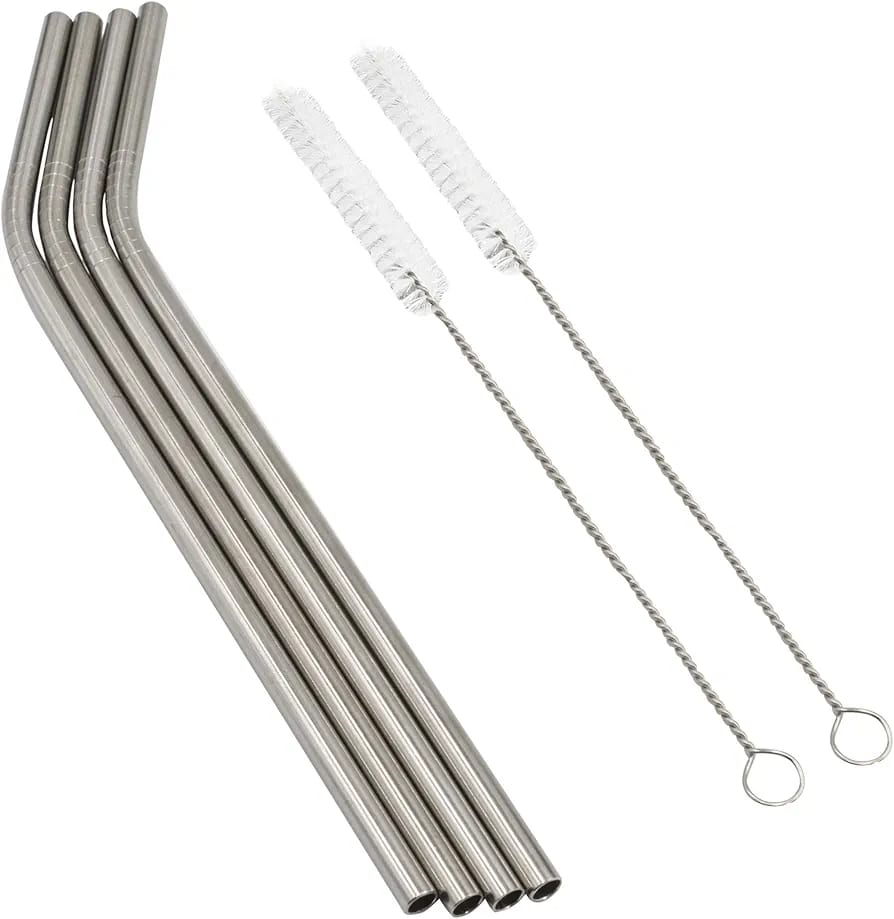 Stainless Steel Straws & Brush Kit