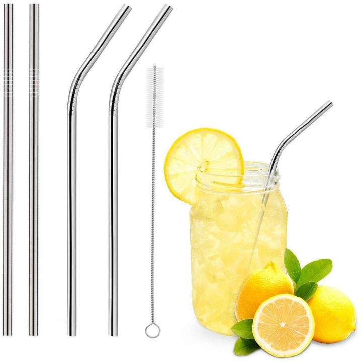 Stainless Steel Straws & Brush Kit