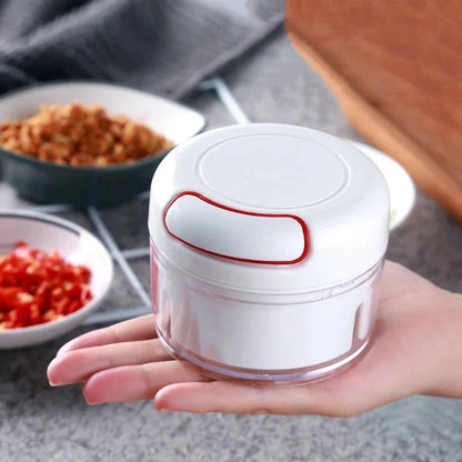 Mini Food Chopper