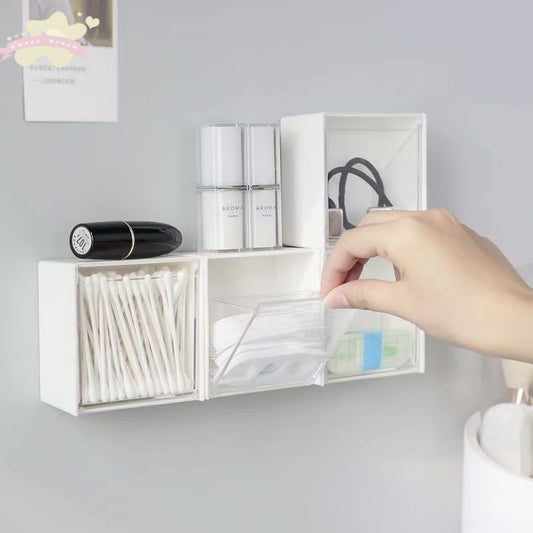 Mini Storage Case Transparent Wall Mounted