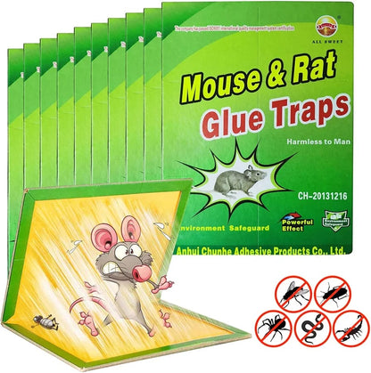 Mouse Glue Trap Book-1 Pc