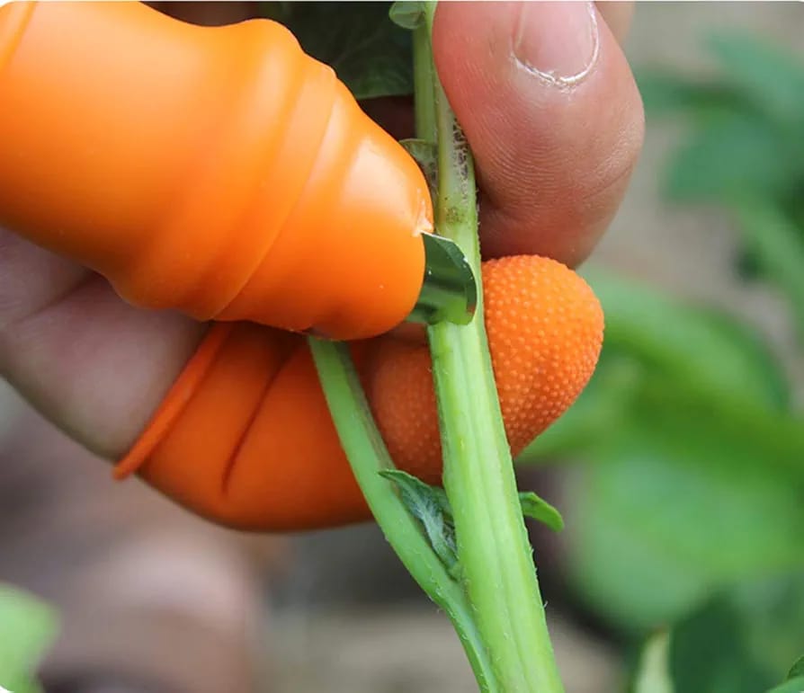 Silicone Thumb Knife